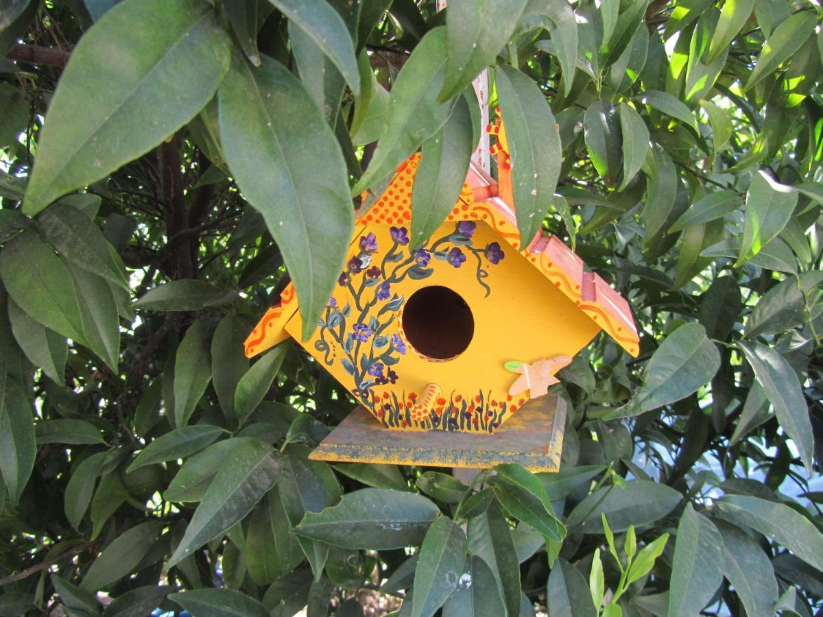 Cirali Kus Yuvasi Bed & Breakfast Rom bilde