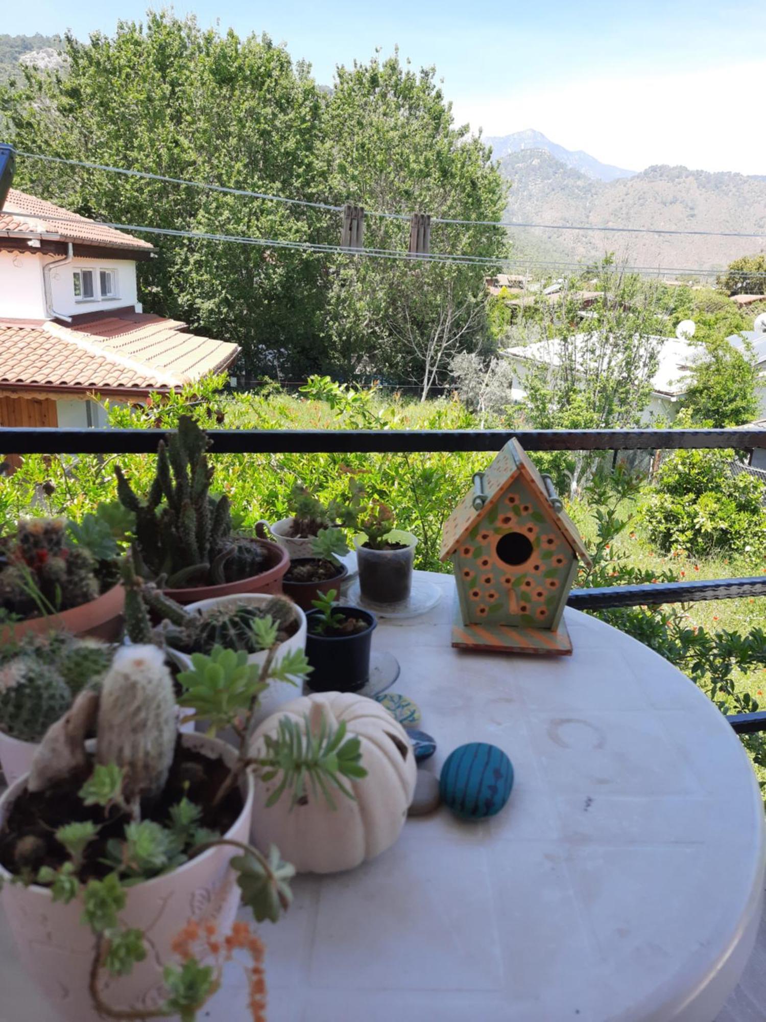 Cirali Kus Yuvasi Bed & Breakfast Rom bilde